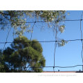 PE Flower Net, Garden Plastic Net, Plant Support Net